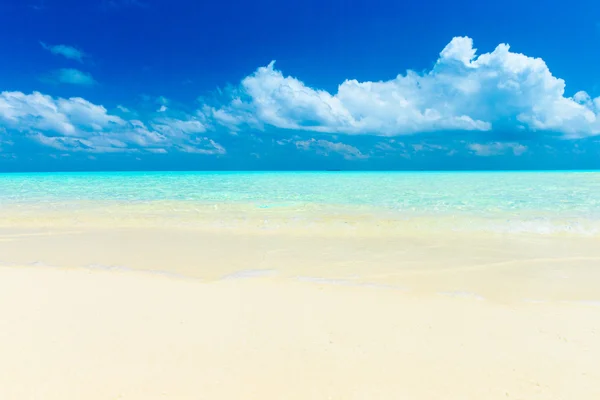 Tropical beach in Maldives — Stock Photo, Image