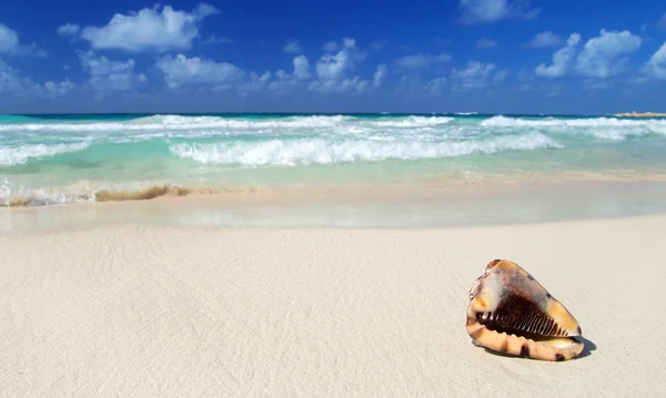 Praia e mar tropical — Fotografia de Stock