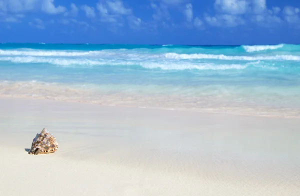 Beach and tropical sea — Stock Photo, Image