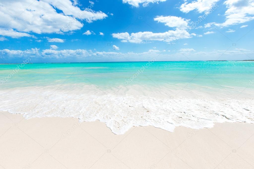 beach and tropical sea