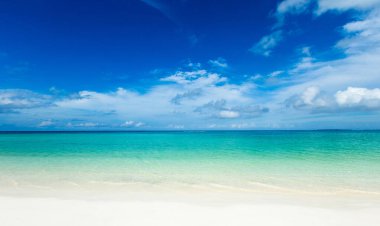 Maldivler 'de birkaç palmiye ağacı ve mavi lagünü olan tropik plaj