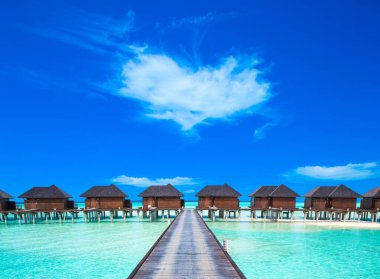 Maldivler denizi. Plaj ve tropik kuşak