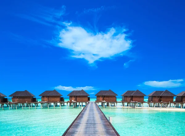 Maldivler denizi. Plaj ve tropik kuşak