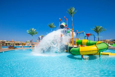 Hindistan cevizi ağacı ve beyaz şemsiyeli yüzme havuzu