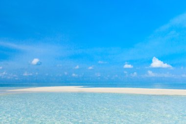 plaj ve tropikal deniz