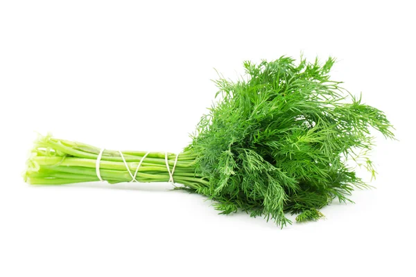 Färsk grön dill — Stockfoto