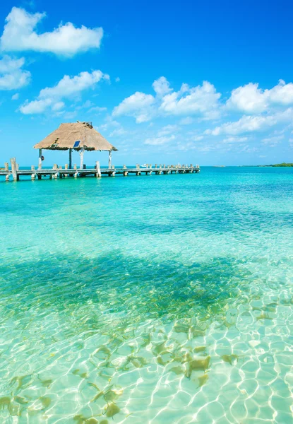 Playa y mar tropical — Foto de Stock