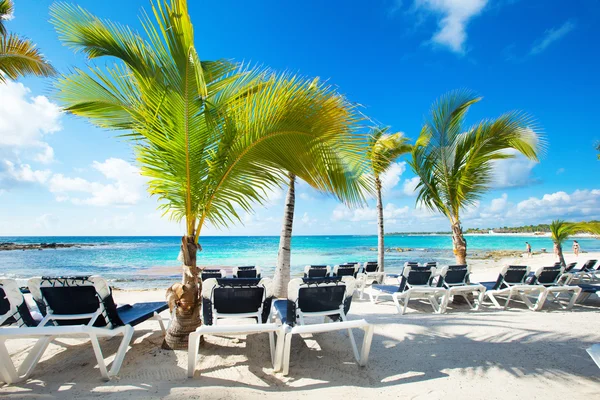 Hermosa playa tropical — Foto de Stock