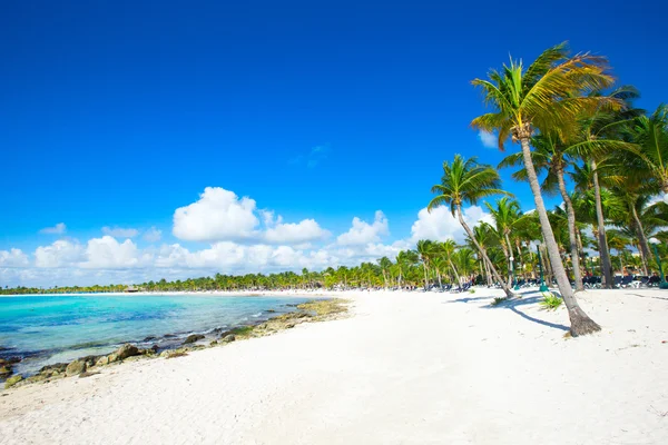 Vacker tropisk strand — Stockfoto