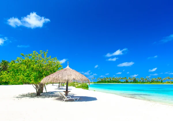 Mare alle Maldive — Foto Stock