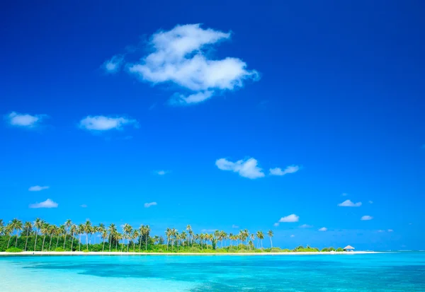Stranden med Maldiverna — Stockfoto