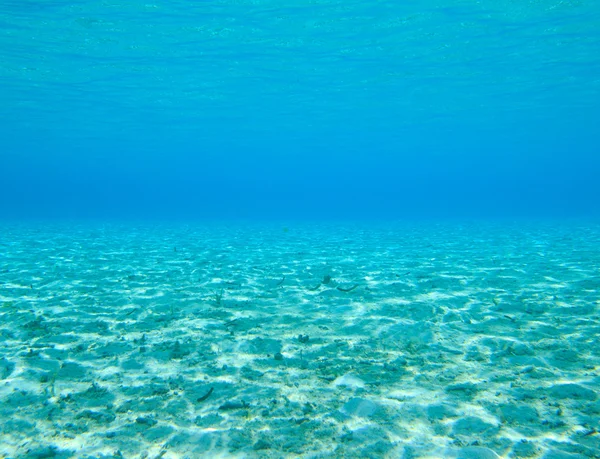 Onderwater scène met kopie ruimte — Stockfoto