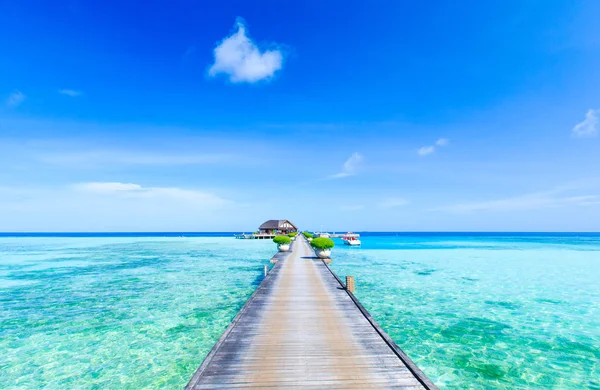 Tropisk strand i Maldiverna — Stockfoto