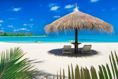 Maldivler 'deki tropik plaj