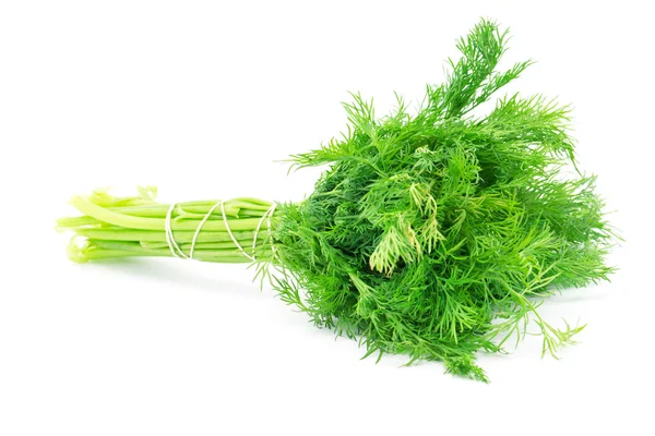 Färsk grön dill — Stockfoto