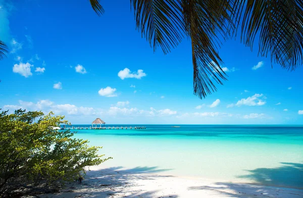 Hermosa playa y mar tropical — Foto de Stock