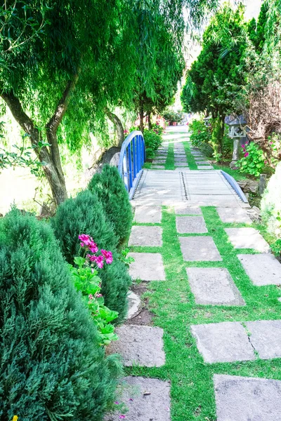 Vacker trädgård landskap — Stockfoto