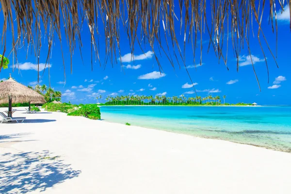 Plaża z kilku drzew palmowych i laguny — Zdjęcie stockowe