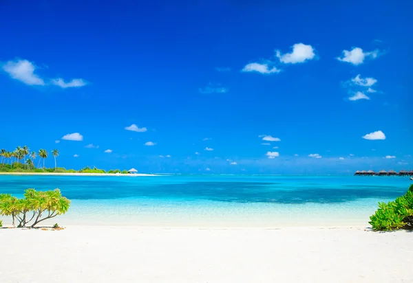 Stranden med några palmer och lagunen — Stockfoto