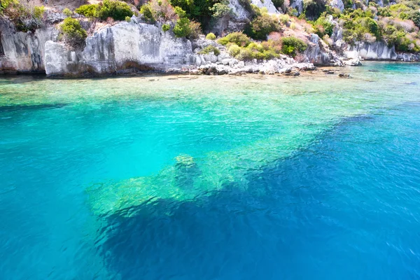 Kek çeşitli — Stok fotoğraf