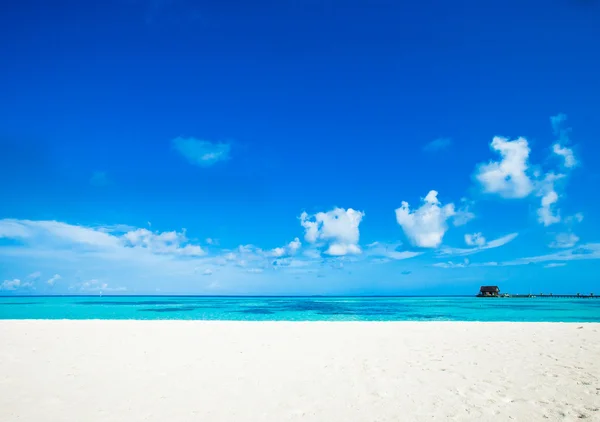 Maldív-szigetek strand — Stock Fotó