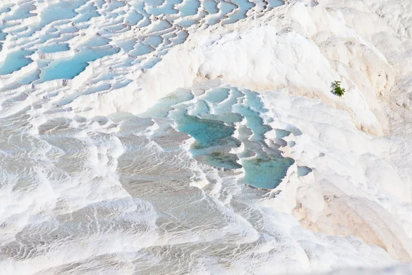 Pamukkale natural travertines — Stock Photo, Image