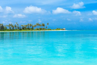 Güzel sahil ve tropikal deniz