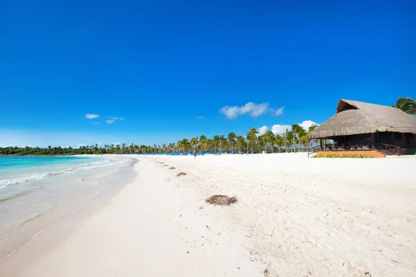 Bella spiaggia e mare tropicale — Foto Stock