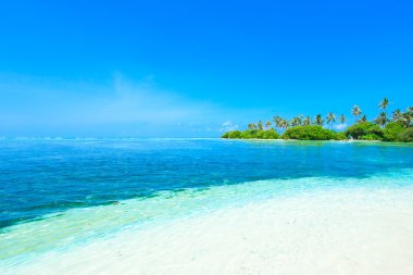 Palmiye ağaçları ve blue lagoon Beach