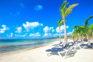 Güzel sahil ve tropikal deniz