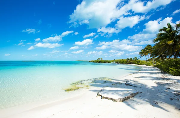 Hermosa playa y mar tropical —  Fotos de Stock