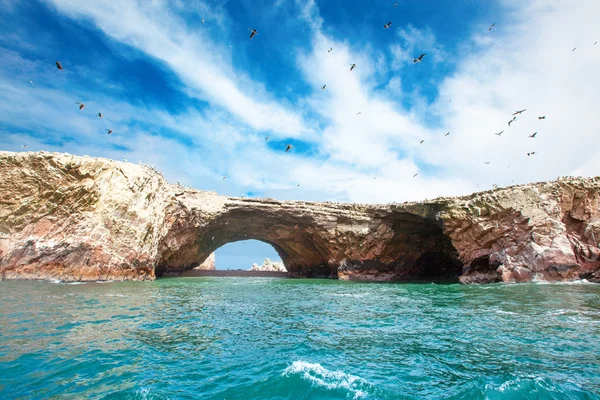 Birds in Ballestas Island (Paracas/Pisco, Peru) — Stock Photo, Image