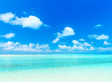 Maldivler 'deki tropik plaj 