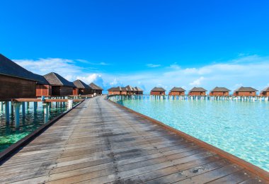 Güzel sahil ve tropikal deniz