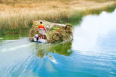 Titicaca gölü Totora teknede