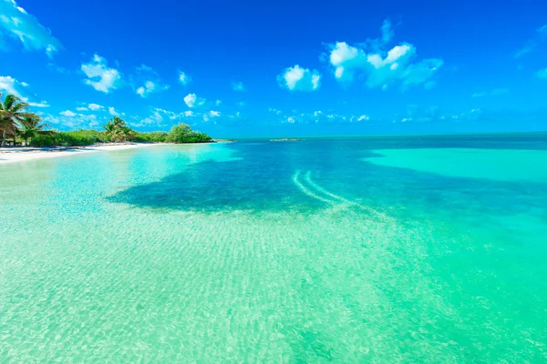 Gyönyörű strand és trópusi tenger — Stock Fotó