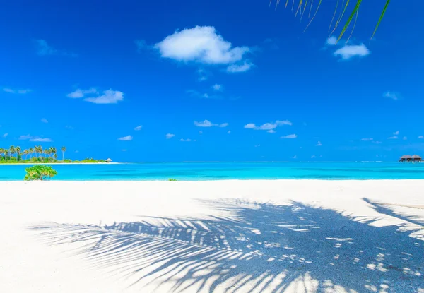 Tropisch strand op de Malediven — Stockfoto