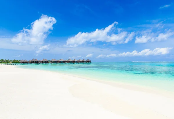 Tropisk strand i Maldiverna — Stockfoto