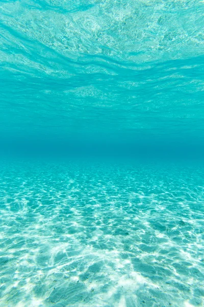 Tranquil underwater scene — Stock Photo, Image