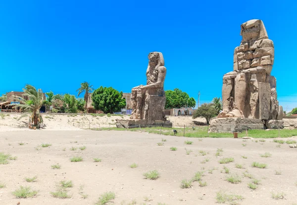 Egipt. Luxor. Kolosy Memnona - dwa masywne kamienne posągi — Zdjęcie stockowe