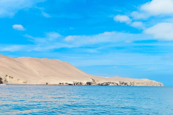 Oiseaux de l'île Ballestas — Photo