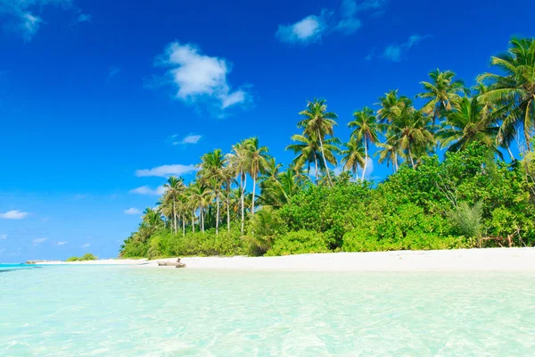 Tropisch strand op de Malediven — Stockfoto