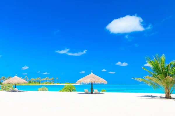 Tropical beach in Maldives — Stock Photo, Image