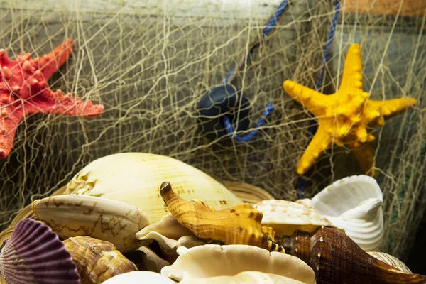 Bella composizione del mare — Foto Stock