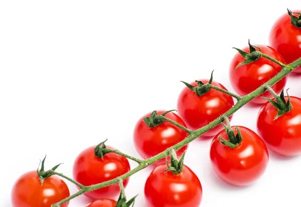 Fresh Cherry tomatoes — Stock Photo, Image