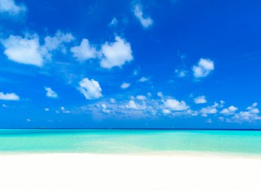 plaj ve tropikal deniz