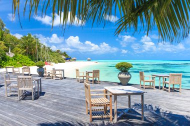 Maldivler 'deki tropik plaj