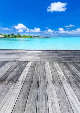 Maldivler 'deki tropik plaj