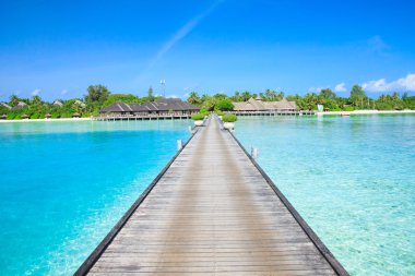 Maldivler 'deki tropik plaj