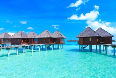 Maldivler 'deki tropik plaj